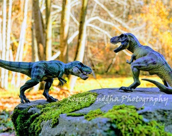 Tyrannosaurus Rex (T-Rex) Meeting