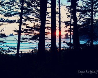 La Push Pink and Blue Sunset