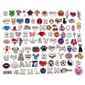 Assorted Lots of Floating Charms for Living Memory Lockets, Silver