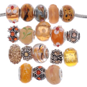 RUBYCA 15pcs Orange Mixed Lot Murano Glass Beads and Crystal Pave Silver Tibetan Charms // 14mm Big Hole Beads fit European Charm Bracelet