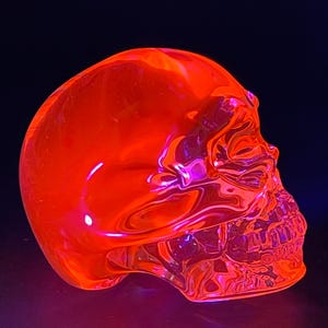 Könnte beinhalten: Eine transparente, leuchtend orangefarbene Schädel-Skulptur. Der Schädel ist sehr detailliert, mit sichtbarer Knochenstruktur und einer glatten, reflektierenden Oberfläche. Der dunkle Hintergrund hebt die leuchtende Farbe und Form hervor. Der Etsy-Shop-Name ist unten sichtbar.