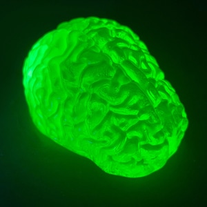 May include: A bright green brain model with a detailed surface. The brain is lit against a dark background, emphasising its intricate folds and shape. The object is a vibrant, neon green.