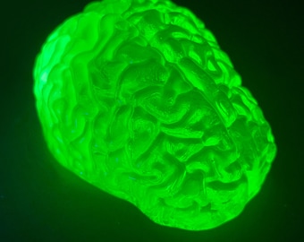 May include: A glowing green brain model with detailed surface features. The brain is illuminated against a dark background, highlighting its intricate folds and overall shape. The object is a vibrant, neon green.