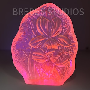 Puede incluir: Una escultura de vidrio translúcido de forma irregular, iluminada con un vibrante resplandor rosa y naranja. La superficie presenta un relieve de dos flores de iris con follaje texturizado. El texto BREBES STUDIOS es visible arriba.