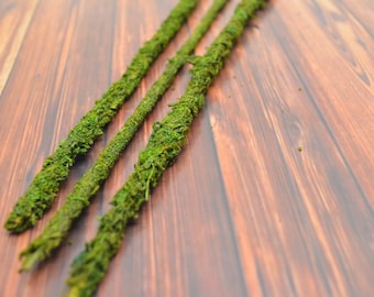 Moss Sticks - 6 pcs - decorative sticks, natural moss, fall wood decoration