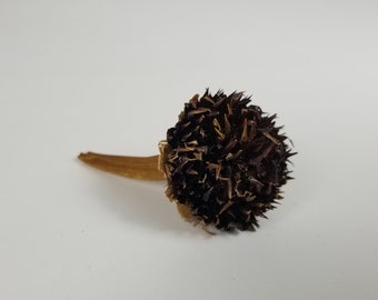 Sunflowers Centers, Small - 3qt - dried sunflower head, small dried flowers, natural floral decor, event decorations