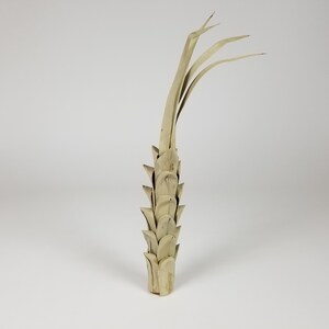 Khejur Pine, Loose (12cm) - 12pcs - palm leaf decoration, potpourri supplies, wedding arrangements, 5 minute crafts