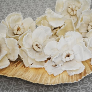 Sola Snow Flower-Zig Zag-12 Pieces