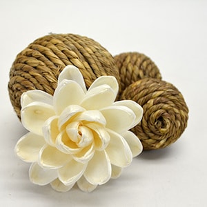 Sola Lotus Flower 7cm / 12 pk