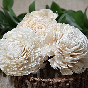 Sola Chorki Flower 8cm - 12 pk