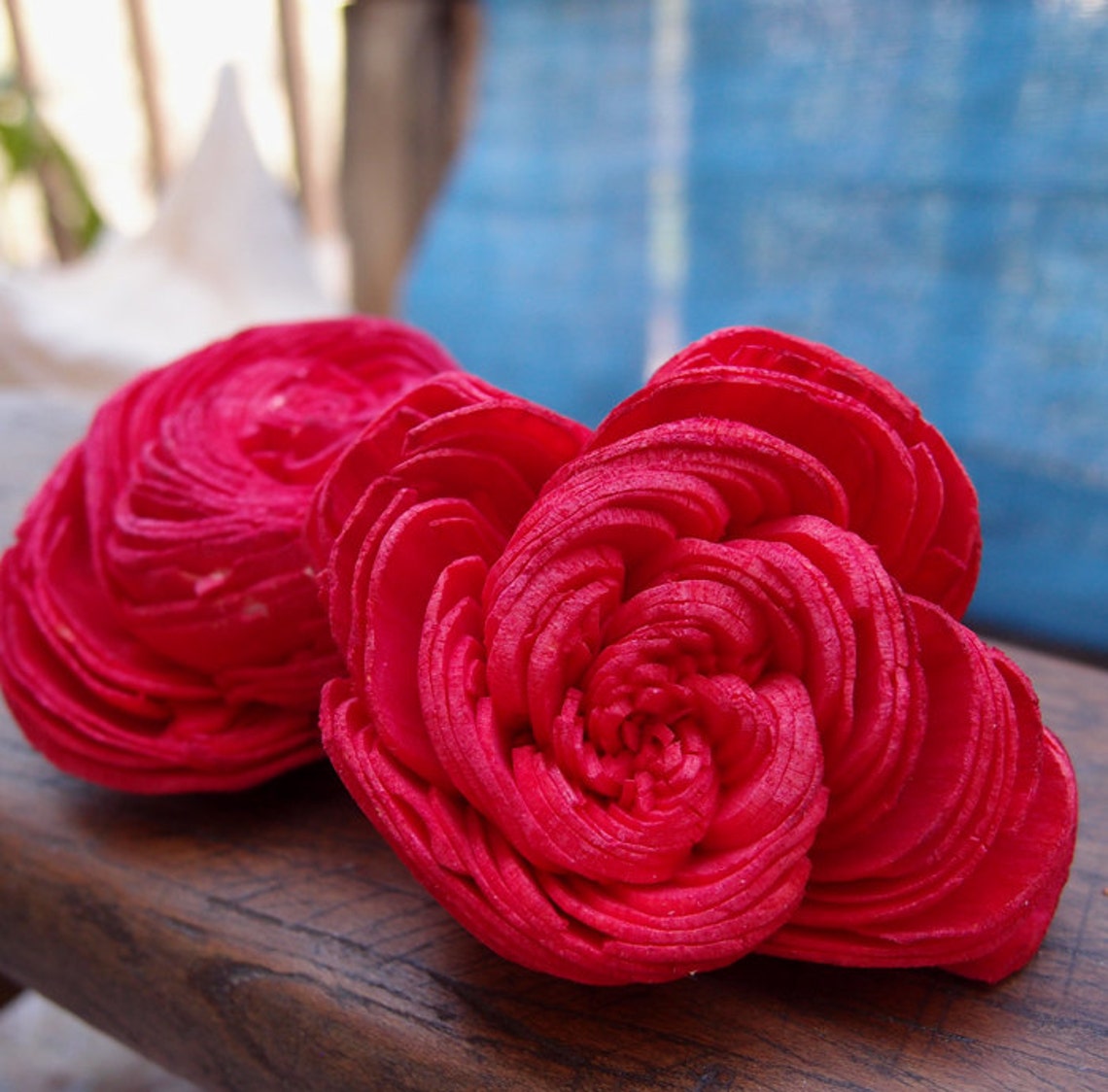 Sola Flowers Red Sola Shell Flowers 14 Flowers Sola Etsy