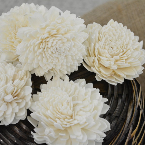 Sola Zinnia - 12 pk - sola wood flower, wood flower art, wedding arrangements, sola flower bouquet