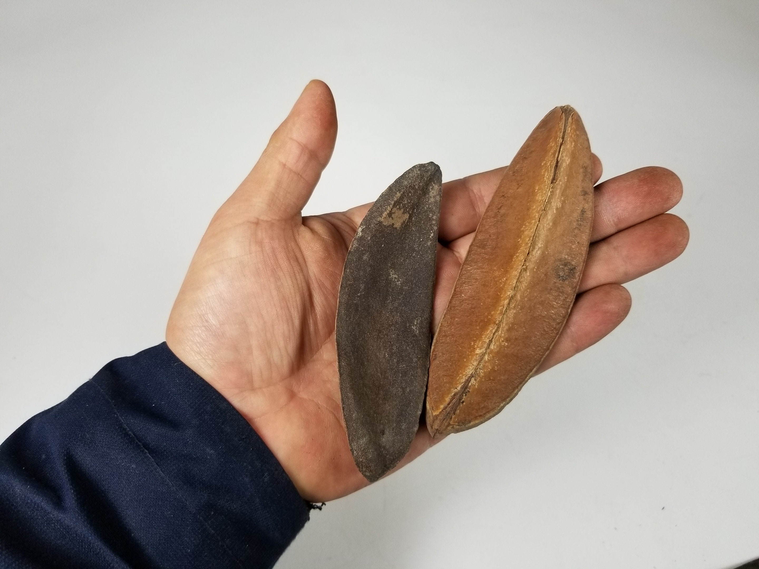 Triangle Pods-2 Quarts - Etsy