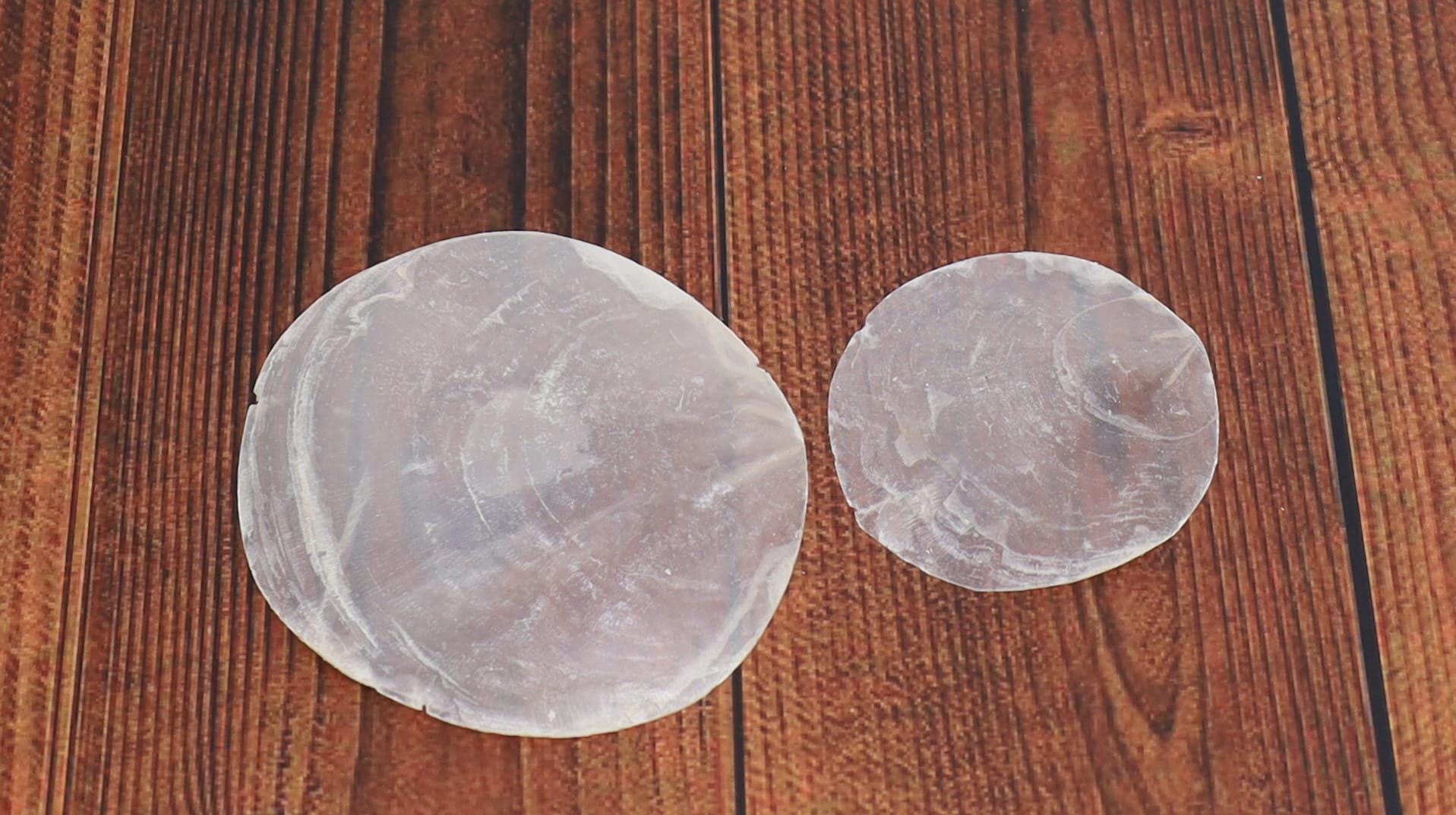 Natural Capiz Shell Discs – Translucent Pearlescent Shells for Crafts ...