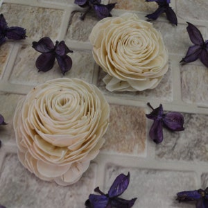 Sola Beauty Rose (8cm) - 12 pcs - sola wood flower, wood flower art, wedding arrangements, sola flower bouquet