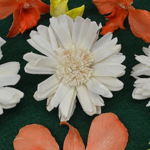 Sola Sunflowers-100 pieces 6 cm Natural