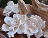 Sola Flowers - Sola Gardenias 24 pieces - Sola Flower- Wedding Flowers- Wedding Decorations