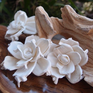 Sola Flowers - Sola Gardenias 24 pieces - Sola Flower- Wedding Flowers- Wedding Decorations