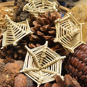 May include: Close-up of several small, woven, star-shaped ornaments in a natural beige color. The ornaments are surrounded by pine cones, dried corn, and other natural elements. The textures and colors create a rustic, earthy aesthetic.