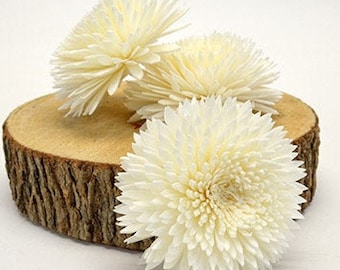 Sola Wild Dahlia 7cm - 12 pk - sola wood flower, wood flower art, wedding arrangements, sola flower bouquet