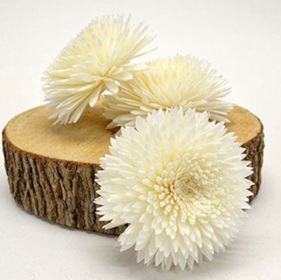 Sola Wild Dahlia 7cm - 12 Pk - Sola Wood Flower, Wood Flower Art