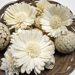 Sola Sunflower 12cm / 10 pk