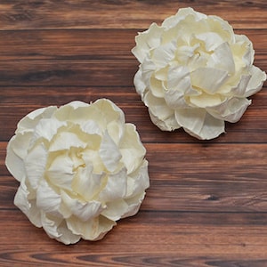 Sola Fresh Peony (7cm) - 12 pk - sola wood flower, wood flower art, wedding arrangement, sola flower bouquet