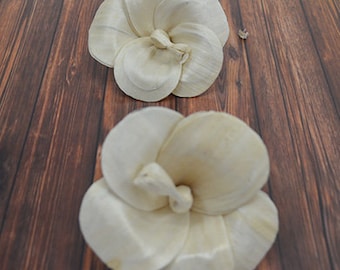 Sola Jawa (8cm) - 12 pk - sola wood flower, wood flower art, wedding arrangements, sola flower bouquet