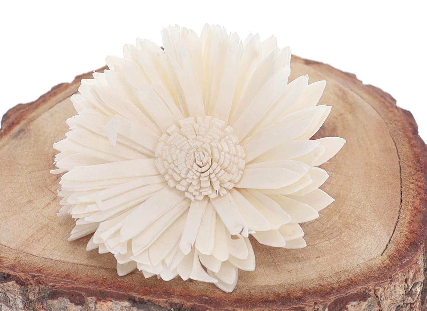 Sola Pariairie Sunflower (8 cm)-12pcs-sola wood flower