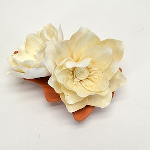 Sola Delphia 7cm / 12 pk