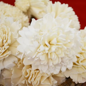 Sola Ganda or Carnation-12 Pieces