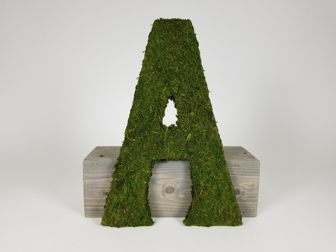 Moss Letters 10 Inches - Etsy