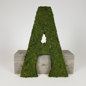 May include: A large, green moss letter A, standing on a grey wooden base. The letter is made of preserved moss and is perfect for adding a touch of nature to your home decor.