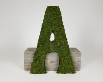 Moss Letters 10 inches
