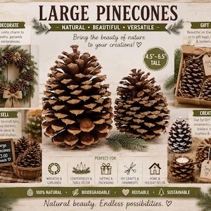 May include: Large brown pinecones with text reading LARGE PINECONES, 4.5-6.5 TALL, and various craft suggestions. The image displays pinecones in a wreath, a gift box, a basket, and as candle holders, highlighting their natural texture.