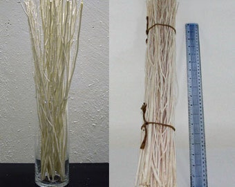 May include: A bundle of white, dried twigs tied together with twine. The twigs are arranged in a vase on the left side of the image. On the right side of the image, a ruler is placed next to a similar bundle of twigs.