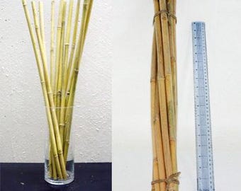 Waterrietbundel (20 inch/stuk) - 12 stuks - waterrietbundel, bamboetakken, natuurlijke tak