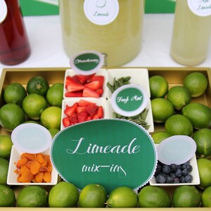 limeade bar wedding or party drink station printable files image 4