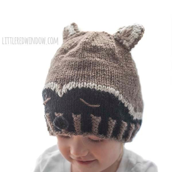 Sleepy Raccoon Hat KNITTING PATTERN / Raccoon Pattern / Woodland Baby Hat / Winter Animal Hat / Raccoon Costume / Raccoon Beanie /