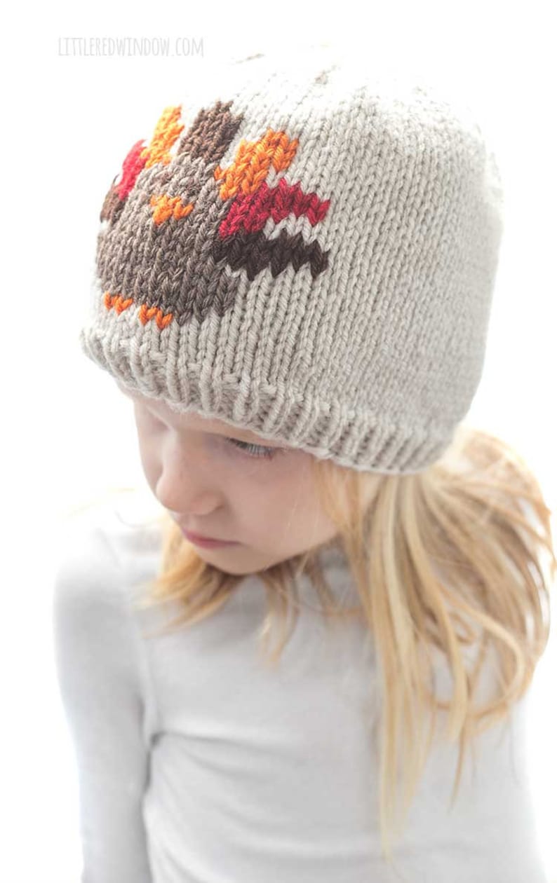 Thanksgiving Turkey Hat KNITTING PATTERN / Duplicate Stitch Knitting Pattern / Turkey Pattern / Thanksgiving Knitting Pattern image 5