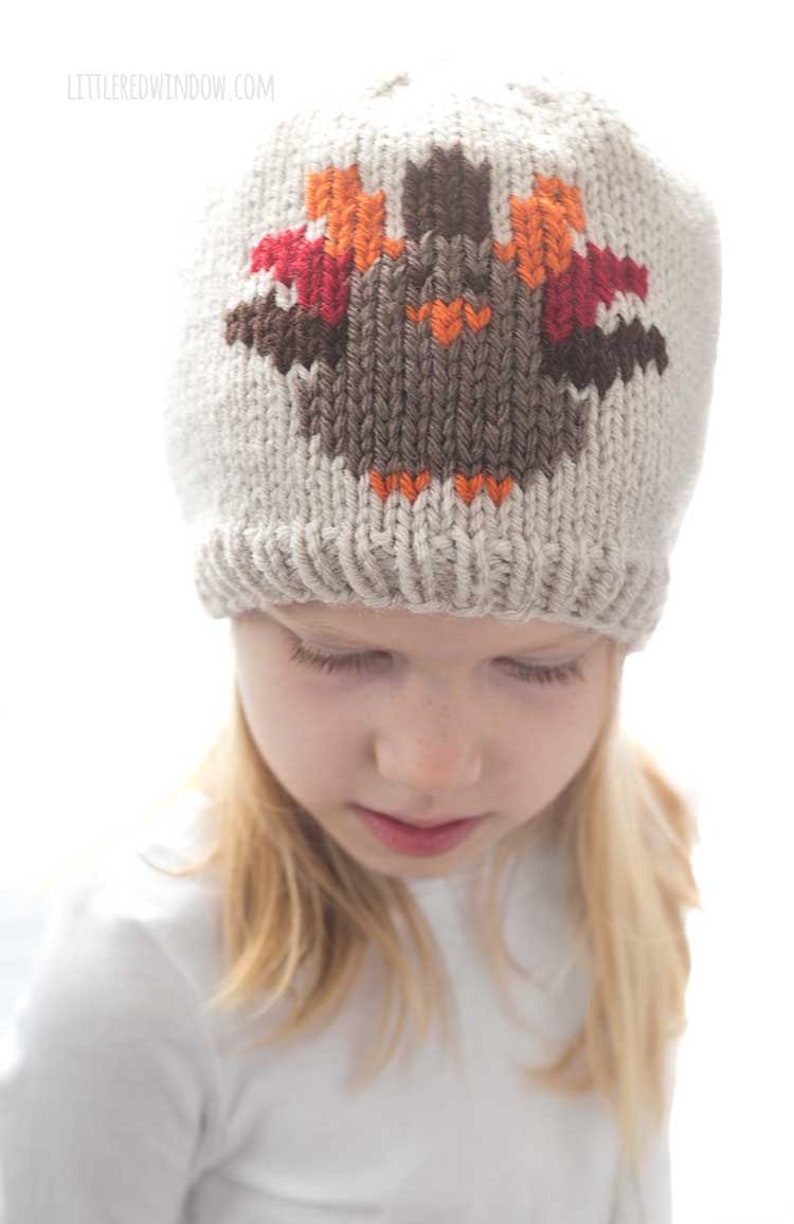 Thanksgiving Turkey Hat KNITTING PATTERN / Duplicate Stitch Knitting Pattern / Turkey Pattern / Thanksgiving Knitting Pattern image 3