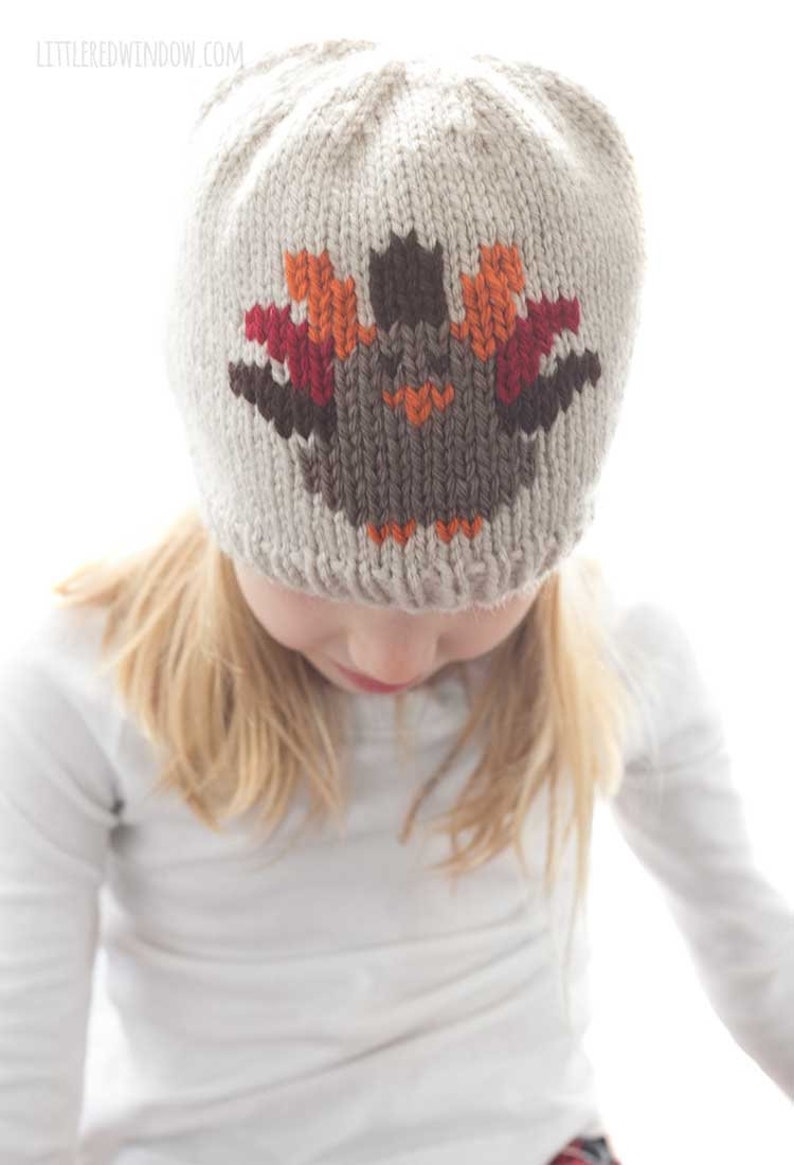 Thanksgiving Turkey Hat KNITTING PATTERN / Duplicate Stitch Knitting Pattern / Turkey Pattern / Thanksgiving Knitting Pattern image 4