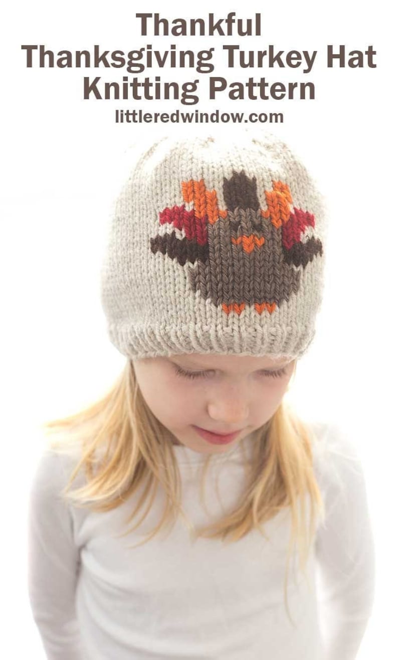 Thanksgiving Turkey Hat KNITTING PATTERN / Duplicate Stitch Knitting Pattern / Turkey Pattern / Thanksgiving Knitting Pattern image 1