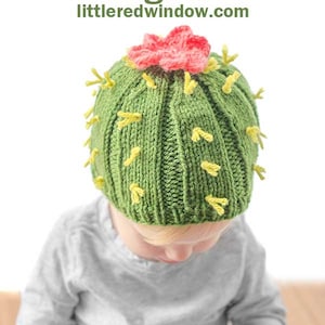 May include: A green knitted cactus hat with a pink flower on top. The hat has yellow yarn accents for the cactus spines. The hat is being worn by a child.