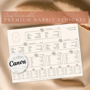Editable Premium Rabbit Pedigree | Show Rabbit Pedigree | Editable Canva Template | Holland Lop Pedigree | Printable Bunny Pedigree