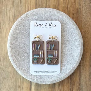 Bookshelf earrings / Lightweight Polymer Clay Book Earrings / Bookworm Jewelry