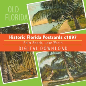 Archivo de descarga digital del paquete de 3 postales de Florida de 1897, Pescador de Old Florida Lake Worth Palm Beach, Palmas de coco, Clark's Trail, alrededor de 1900