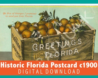 1900 Old Florida Greetings Postkarte Orange Kiste, digitaler Download-Bild um 1900, ikonisches Americana, Scrapbook, Junk-Journal