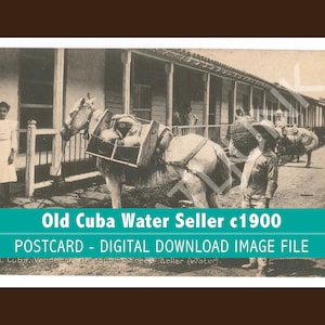 1900 Havana Old Cuba postcard water seller and mule, tarjeta postal vieja, image circa 1900 digital download peddler with mule cart