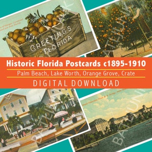 VTG 1900 vier alte Florida Postkarten 1900-10 digital download Dateien, Orangenkiste Palm Beach Royal Poinciana St Augustine Oranges 600ppi Datei
